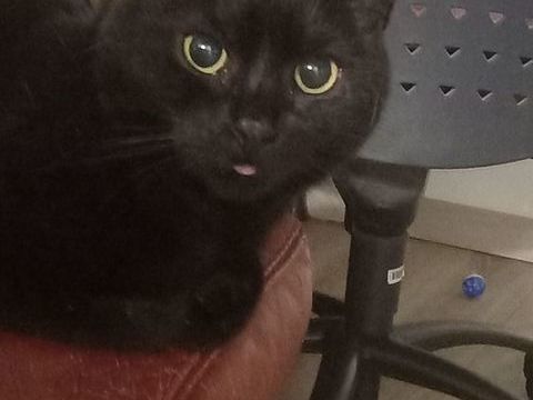 ISIS 115 95420 Saint-gervais