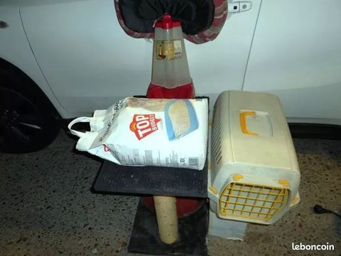 Accessoires pour chat 30 42155 Lentigny