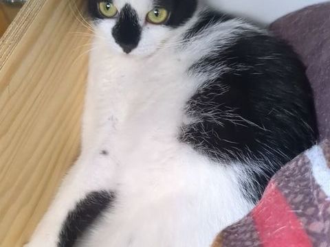 Toka 100 44000 Nantes