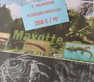  Terrain � vendre 3231 m� Dembeni