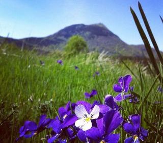  Maison � louer 3/4 pi�ces 85 m�