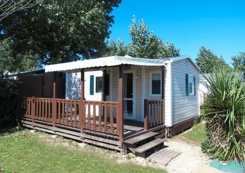 Mobil-Home Mobil-Home 2010 occasion Saint-Jean-de-Monts 85160