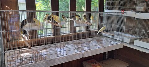 Echange 0 93150 Le blanc-mesnil