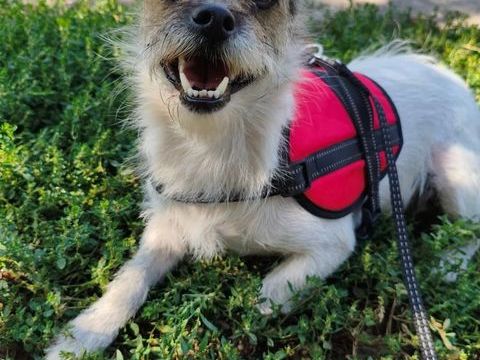 MAFFIE 0 75018 Paris