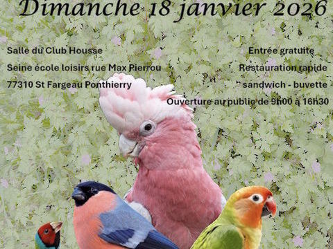 Exposition bourse aux oiseaux 1 77310 Saint-fargeau-ponthierry