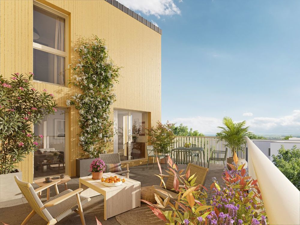 Appartements neufs   Cergy (95000)