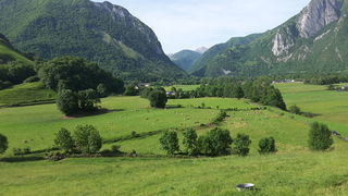  Appartement � louer 5 pi�ces 100 m�