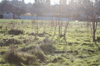  Terrain � vendre 24839 m�