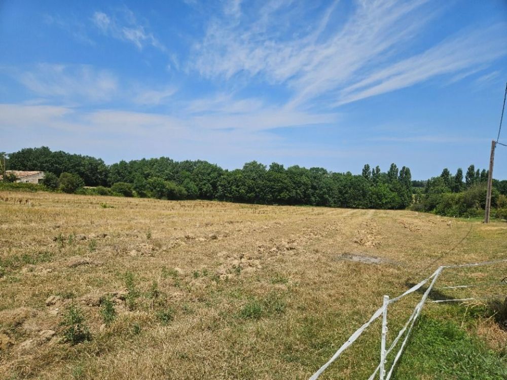 Maisons neuves   Pineuilh (33220)