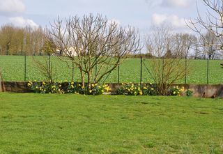  Terrain � vendre 1150 m�