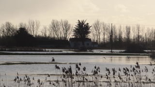 Location  Appartement 