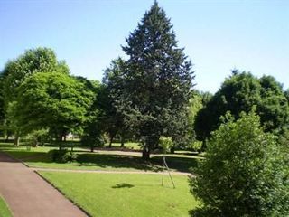  Appartement � louer 1 pi�ce 39 m�