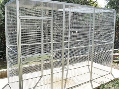 R&eacute;cup&egrave;re tout oiseau et mat&eacute;riel 0 01350 Culoz