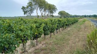  Terrain � vendre 40000 m�