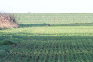  Terrain � vendre 24839 m�