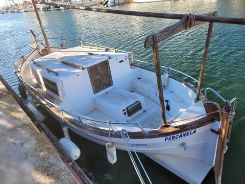 Bateaux &agrave; moteur P&ecirc;che-promenade 1991 occasion Pollestres 66450