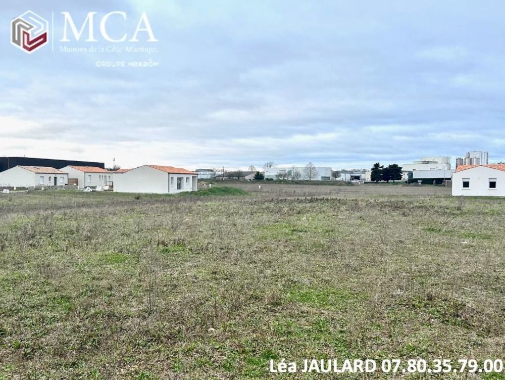 Maisons neuves   Surg�res (17700)