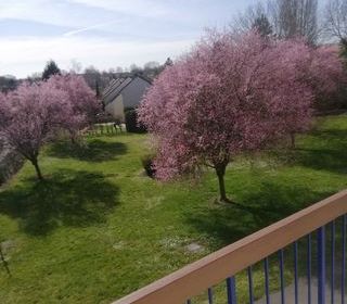  Appartement � vendre 5 pi�ces 70 m�