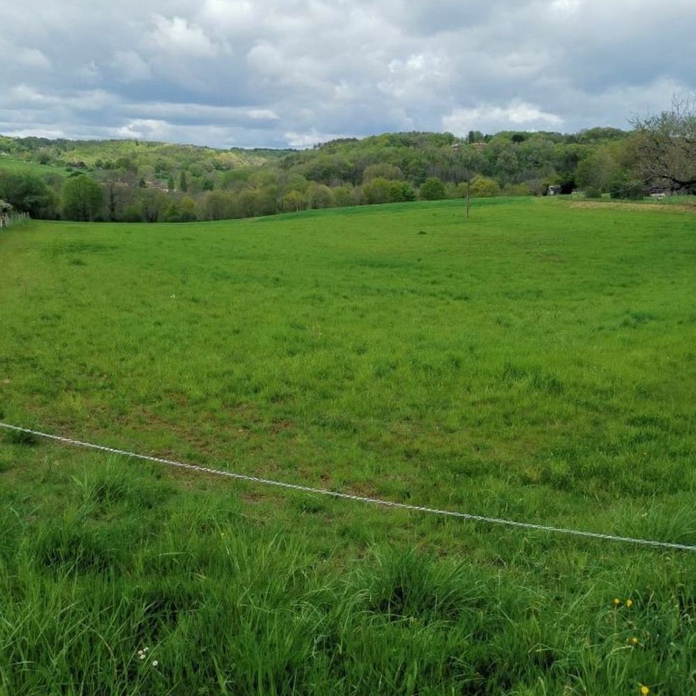   Saint-Astier (24110)