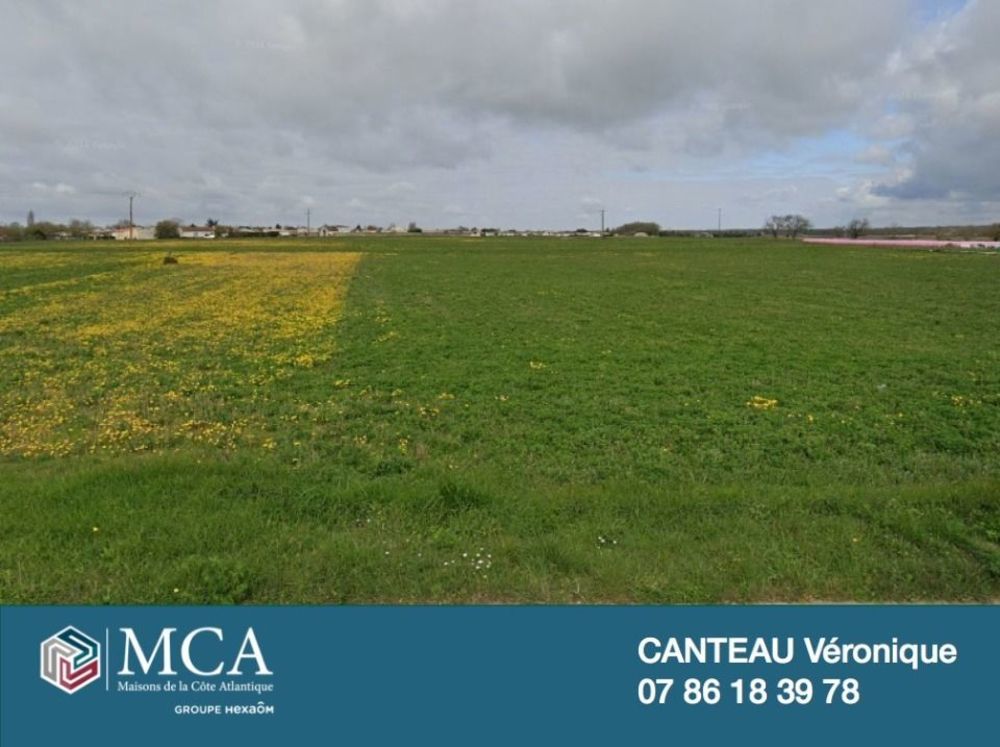 Maisons neuves   Nieulle-sur-Seudre (17600)