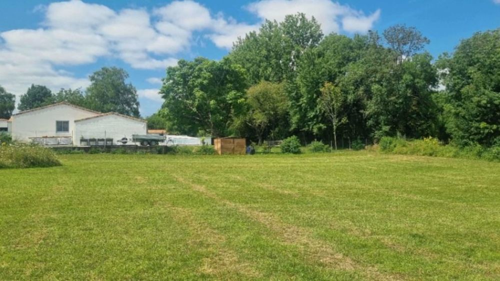 Maisons neuves   Saint-Christophe (17220)