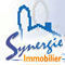 SYNERGIE IMMOBILIER