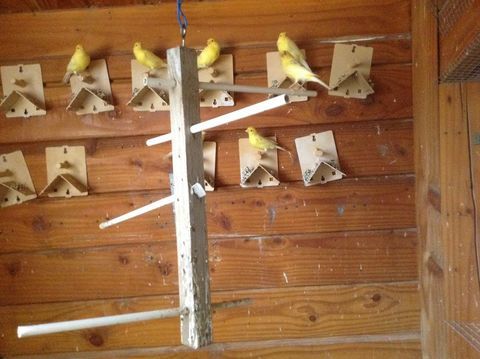 cages materiels 30 59770 Marly