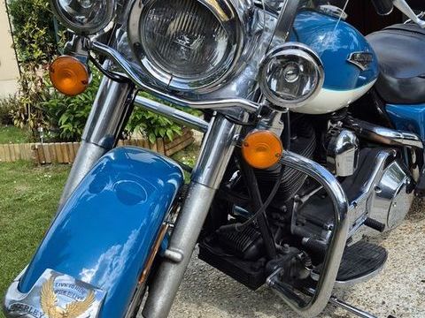 Moto HARLEY-DAVIDSON 2001 occasion Fr&eacute;pillon 95740
