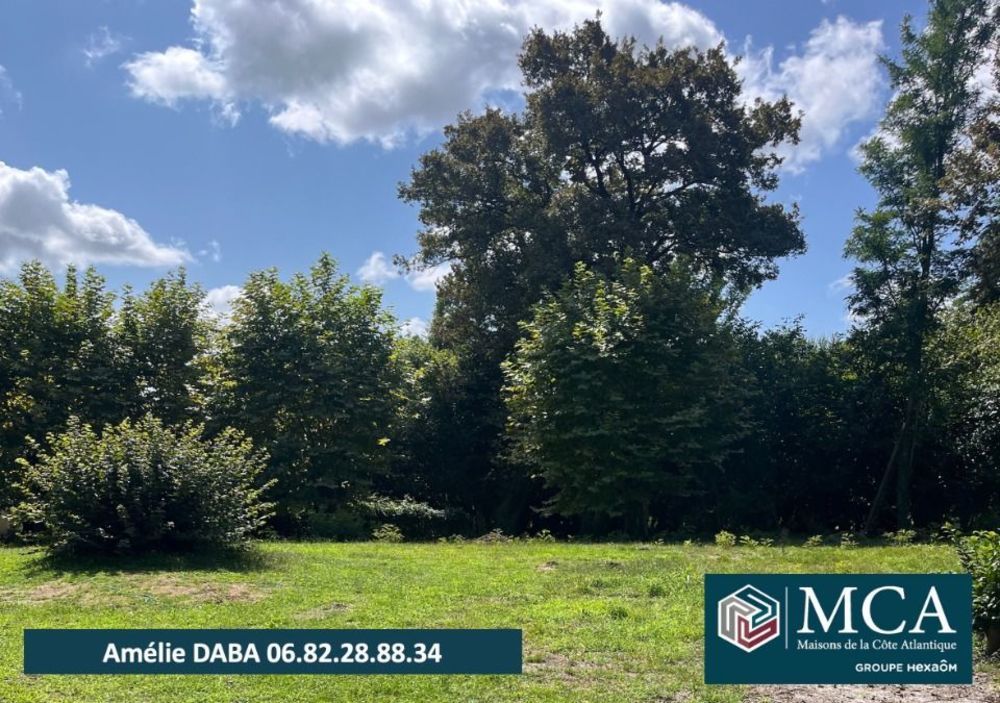 Maisons neuves   Josse (40230)