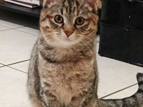 Aur&eacute;a 230 44000 Nantes