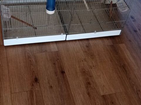 Cage reproduction 60 33300 Bordeaux
