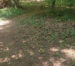  Terrain � vendre 6127 m�