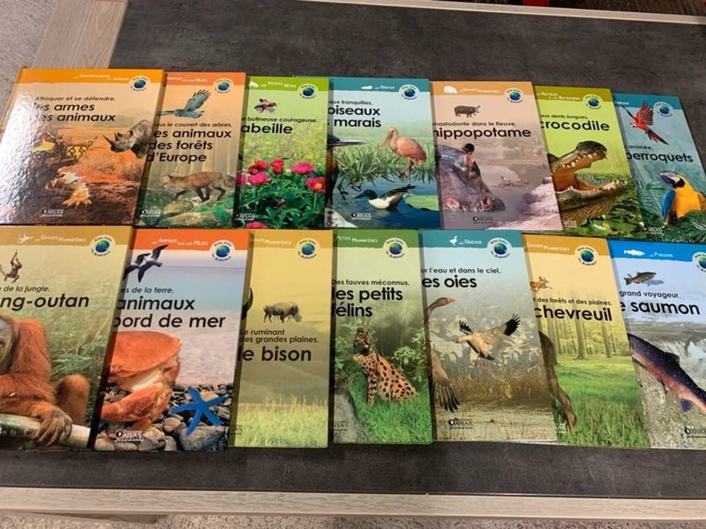 Atlas junior Livres et BD
