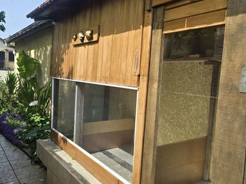 Acceuil,avec endroits adapt&eacute; tortues,de 5 ans,et plus,paris 0 93800 �pinay-sur-seine
