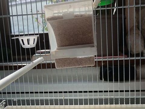 Mandarins diamants 0 31160 Arguenos