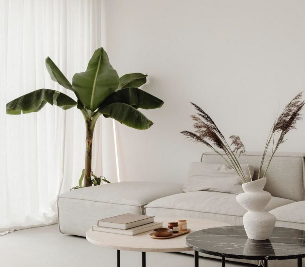 Appartements neufs   Argels-sur-Mer (66700)