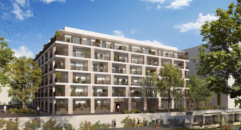 Appartements neufs   Montpellier (34000)