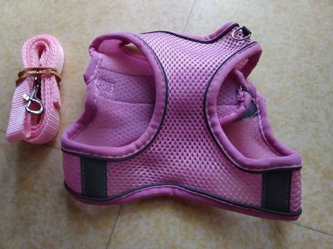 Harnais+ laisse pour chien ? 15 34090 Montpellier
