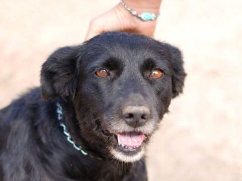 FRESA 350 27620 Gasny