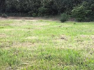  Terrain � vendre 380 m�