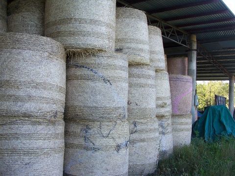 foin balles  ronde  et tracteur 90 81220 Saint-paul-cap-de-joux