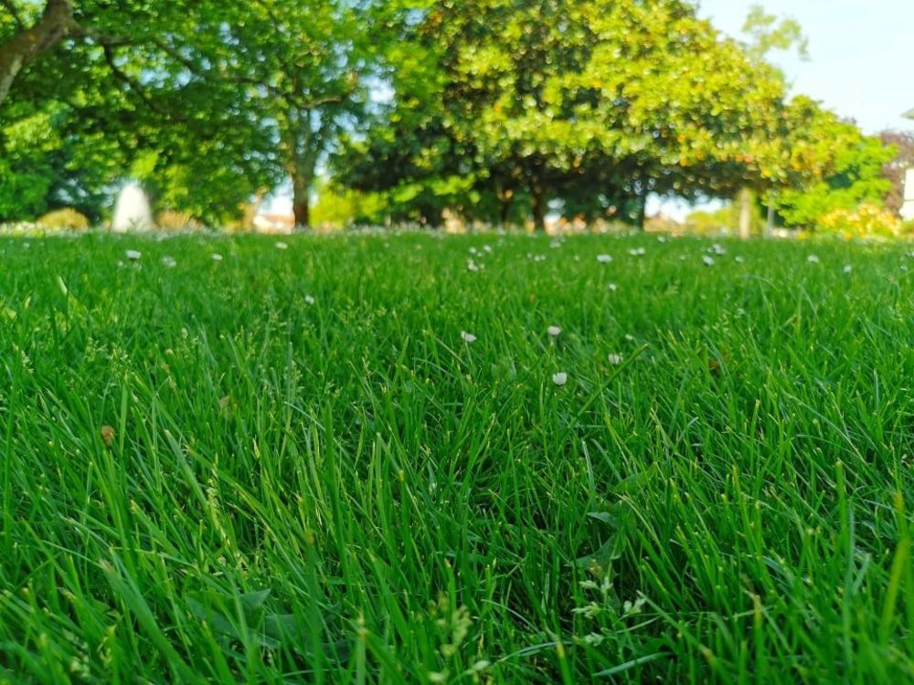 Maisons neuves   Hourtin (33990)