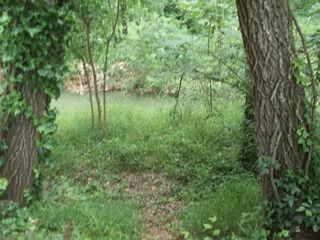  Terrain � louer 500 m�