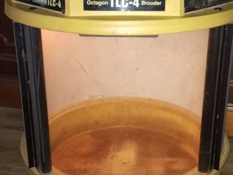 &eacute;leveuse BRINSEA TLC 4 0 95490 Vaur�al