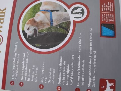 Harnais grand chien 18 67100 Strasbourg