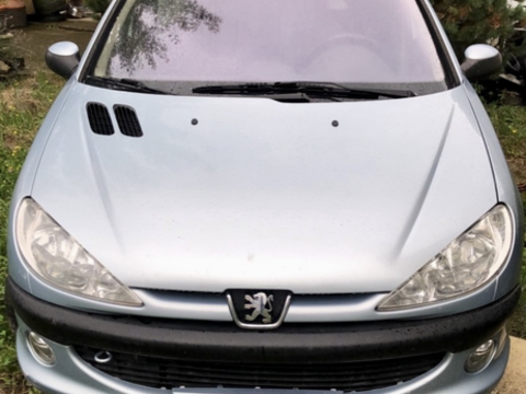 Peugeot 206 SW 1.6e 16v Quiksilver 2006 occasion Pierre-B&eacute;nite 69310