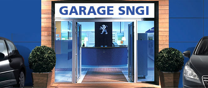 SNGI lyon villeurbanne, concessionnaire 69