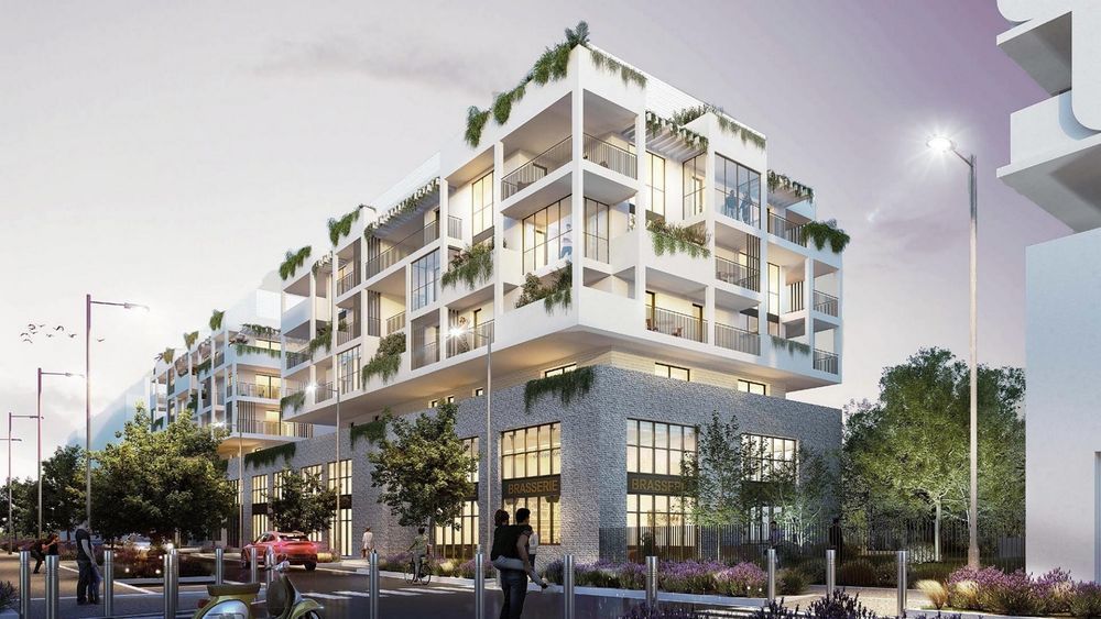 Appartements neufs   Montpellier (34000)