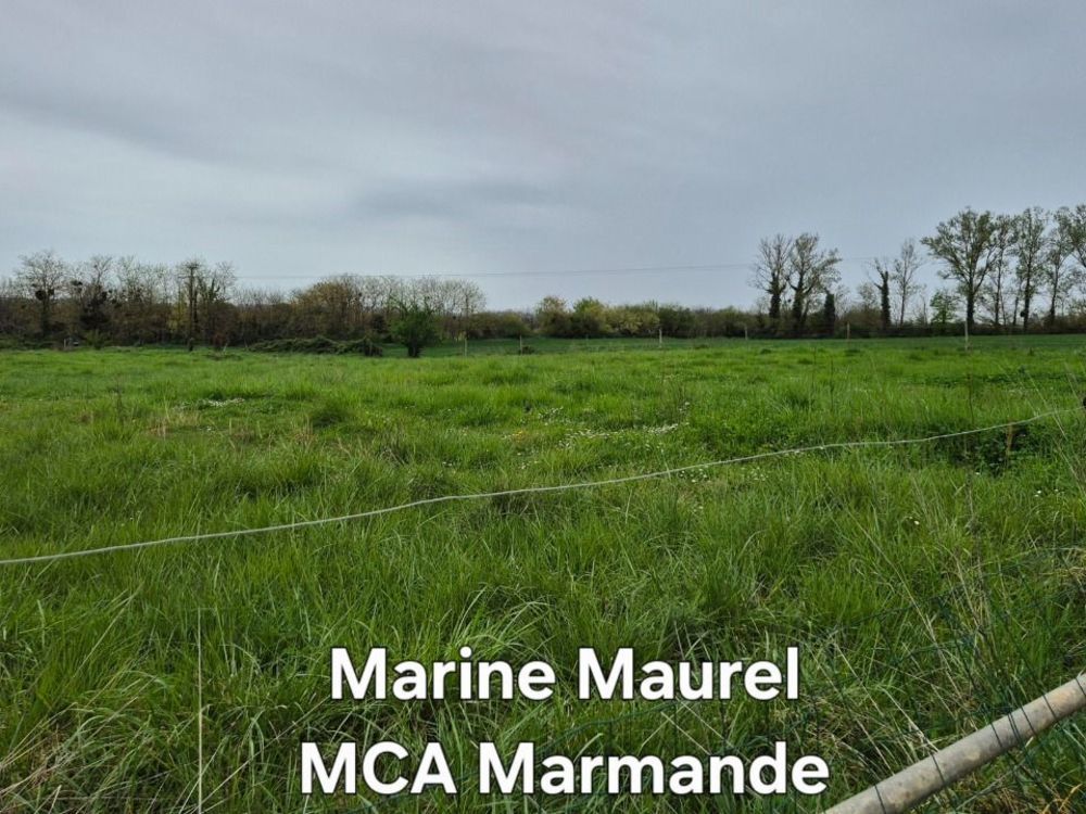 Maisons neuves   Fourques-sur-Garonne (47200)