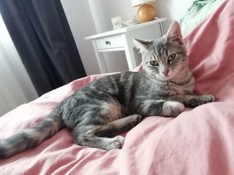 ARLO 180 92400 Courbevoie